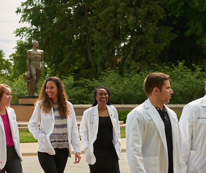 Progress notes tell an important story in pain medicine – MSUToday