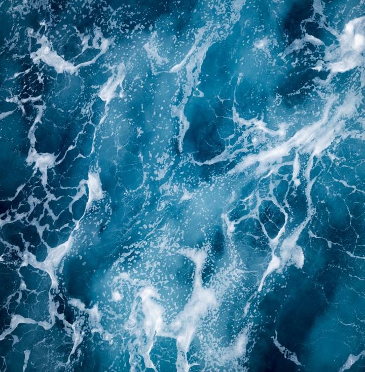 Why scientists are searching the ocean for new drugs – Medical News Today
