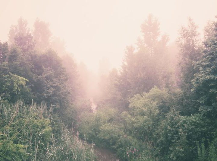 A Pathway Less Traveled – WCAI