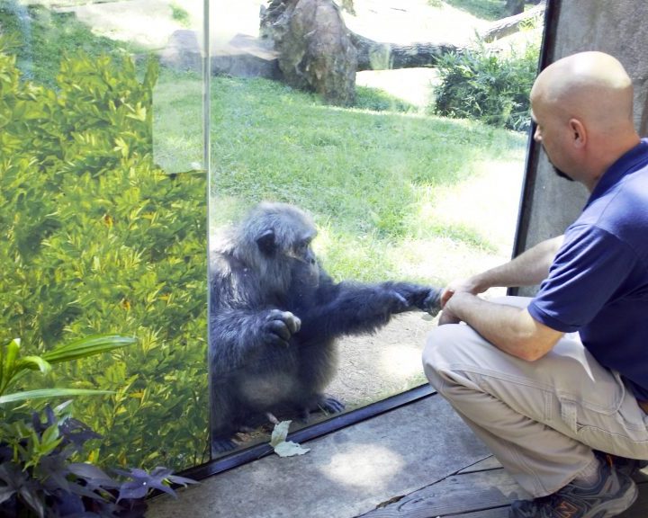 Creature Care: Veterinary Medicine at the N.C. Zoo – NC State News