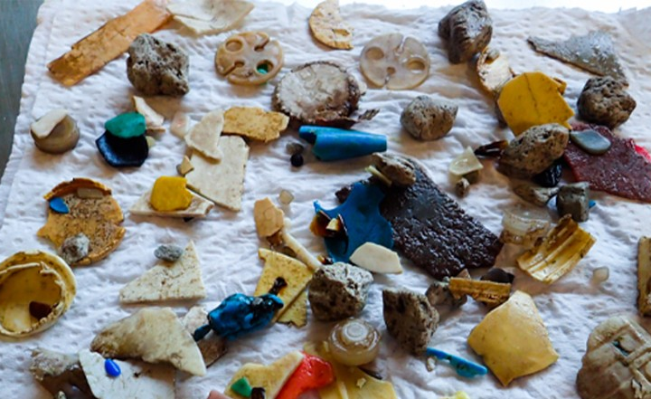 Eating Even One Piece of Plastic Has Health Consequences for Baby Seabirds – Smithsonian.com