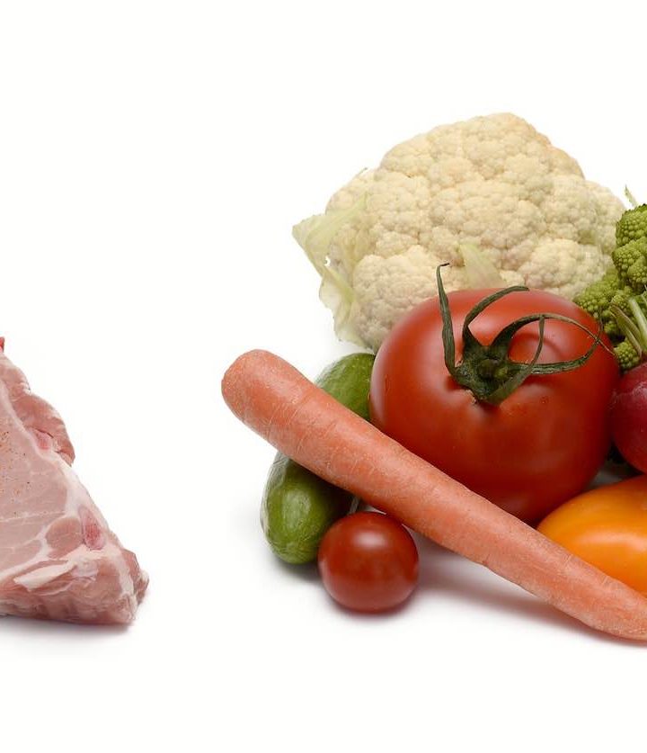 How Do Nutritional Plant-Based Diets Compare With Meat Diets For Our Environment? Scientists Answer. – Good News Network