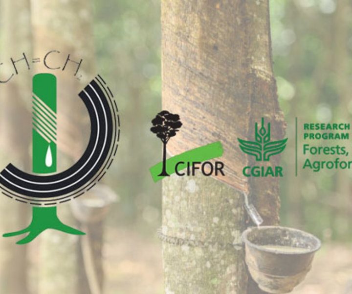 International Rubber Study Group, FTA partner for natural rubber industry sustainability – Tire Business