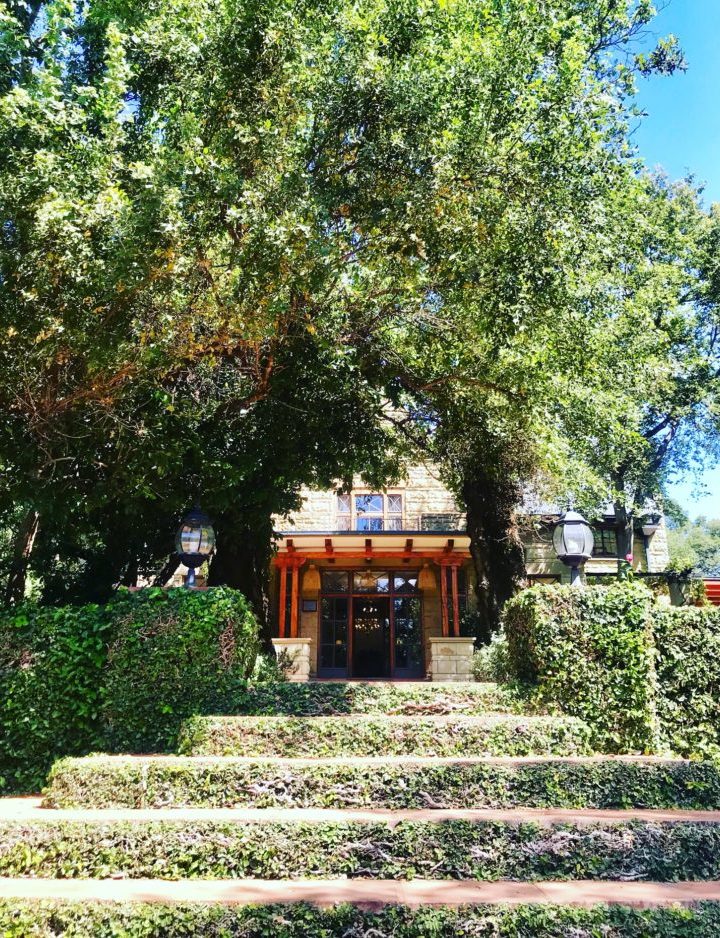 Meet The Experts For Our African Spring Beauty Break – Longevity LIVE