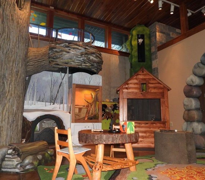 Natural Connections: Northland College all aglow over flying squirrel discovery – Ashland Daily Press