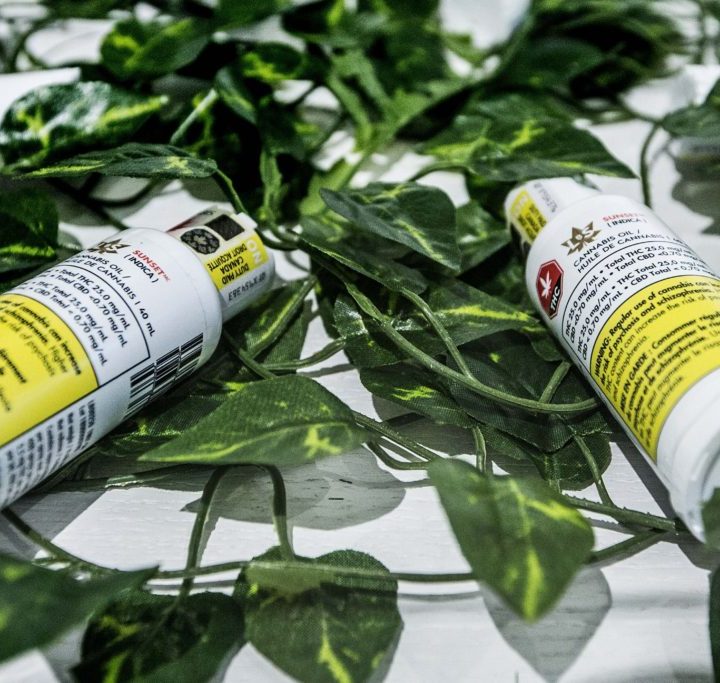 Natural health lobby group pitches parties on bringing CBD to non-cannabis store shelves – iPolitics.ca