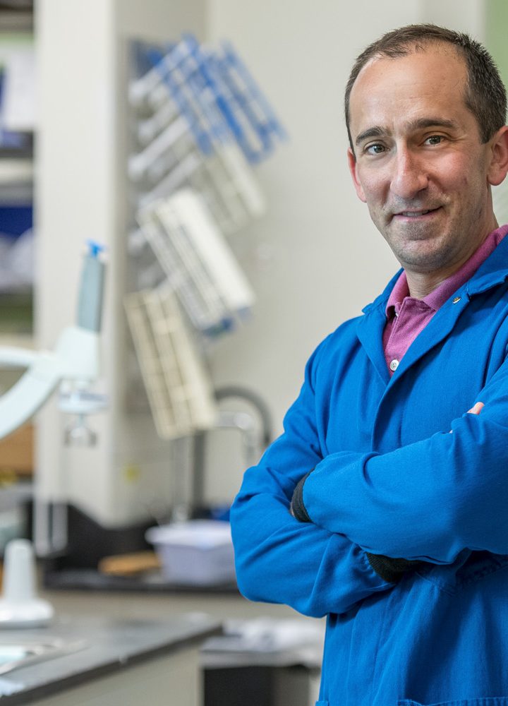 Stanford launches major effort to harness the microbiome to treat disease – Stanford University News