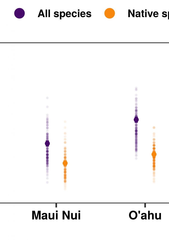 The Invader That Grows in Hawaii Is Erasing a Marker of Natural History – Inverse