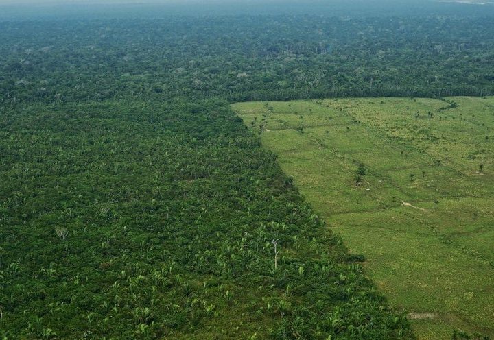 To Halt Warming and Ensure Food Supplies, Land-Use Practices Must Change – Scientific American