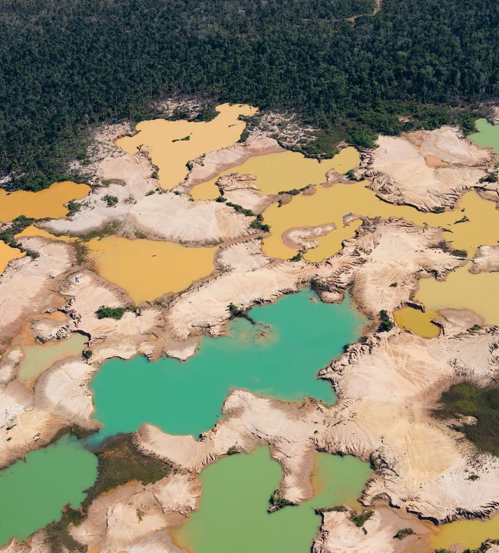 UN climate change report: we must change how we use land and grow food – Vox.com