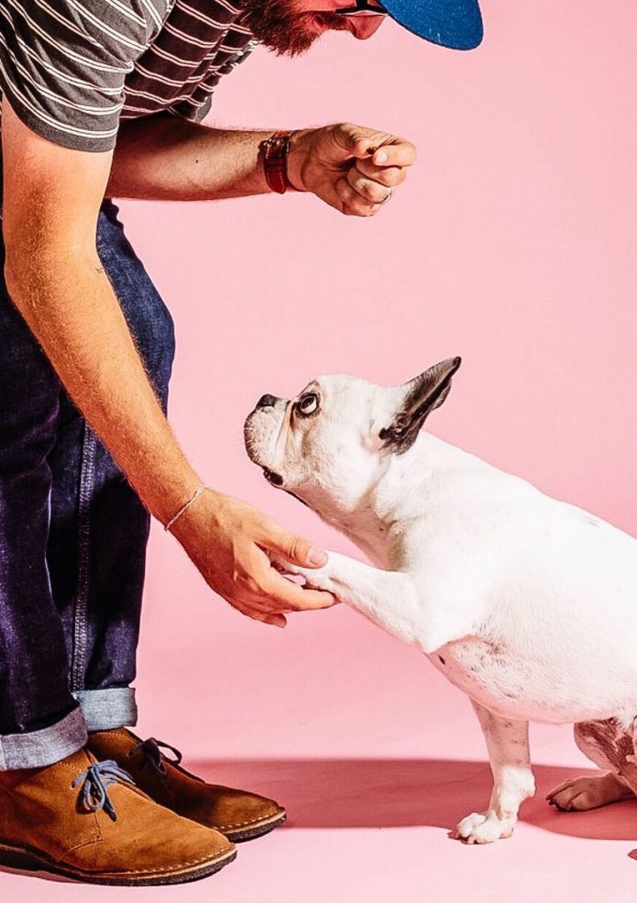 Vitamins and supplements for dogs and cats are a huge business – Vox.com