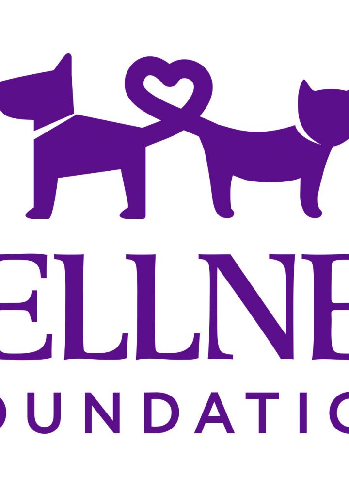 Wellness® Natural Pet Food Launches the Wellness Foundation to Give Nourishment and Love to Pets Who Need it Most – PRNewswire
