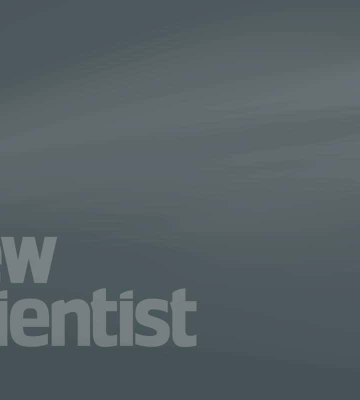 Climate change has created more bird winners than losers in England – New Scientist News