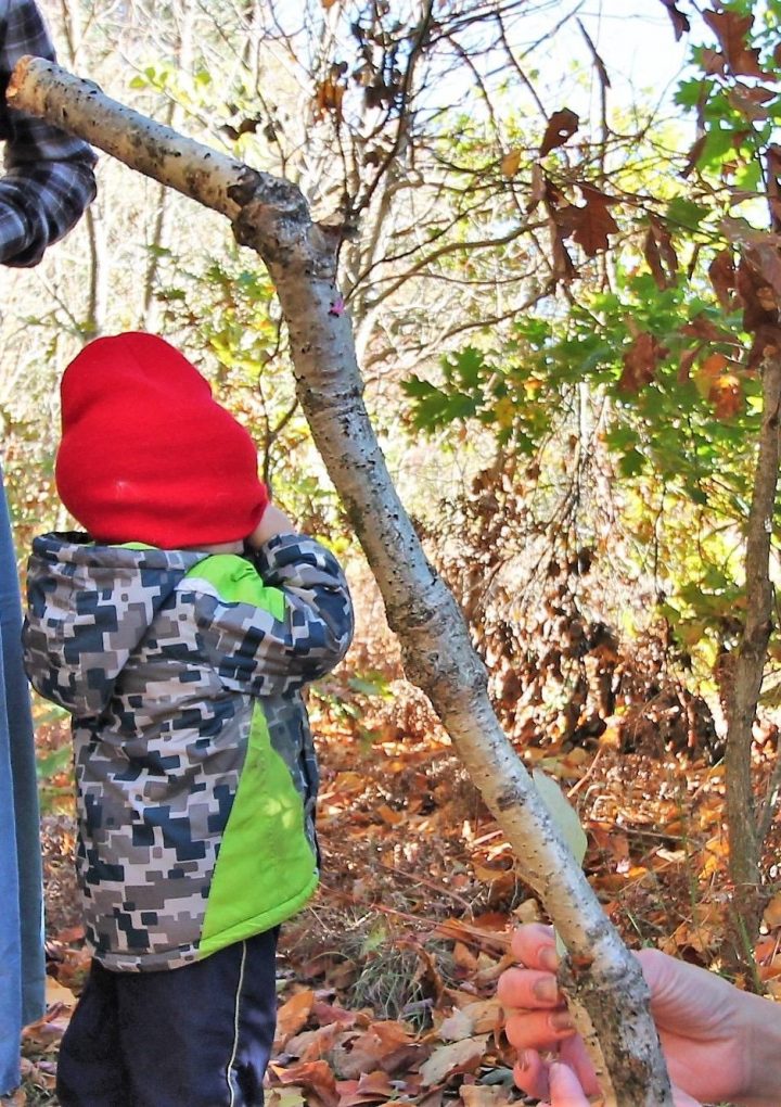 Go play outside … doctor’s orders – HollandSentinel.com