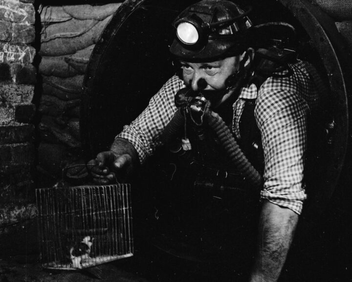 Health care providers: canaries in the coal mines of American society? – STAT