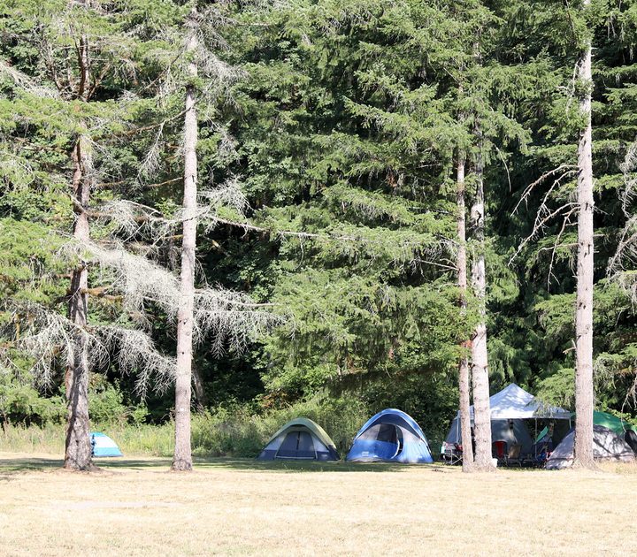 Medicine Gathering seeks to educate about Native culture and sustainability – Metro newsfeed
