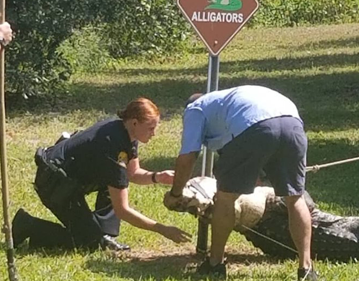 Tampa Police share picture reminding residents the importance of warning signs – ABC Action News