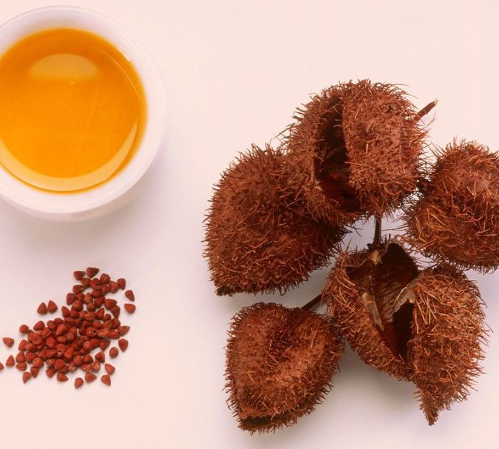 What Is Annatto? Uses, Benefits, and Side Effects – Healthline
