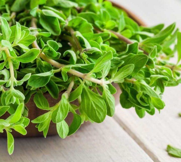 What Is Marjoram? Benefits, Side Effects, and Uses – Healthline