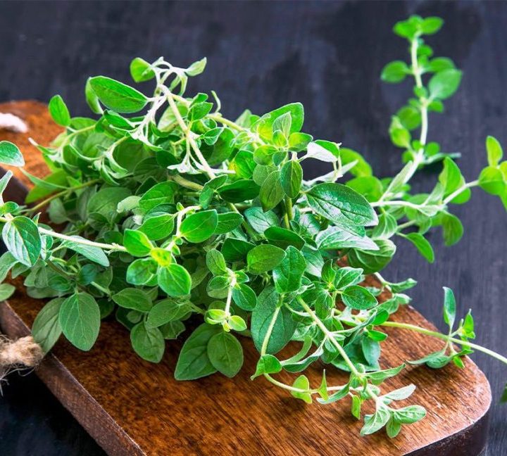 15 Antiviral Herbs to Keep You Healthy – Healthline