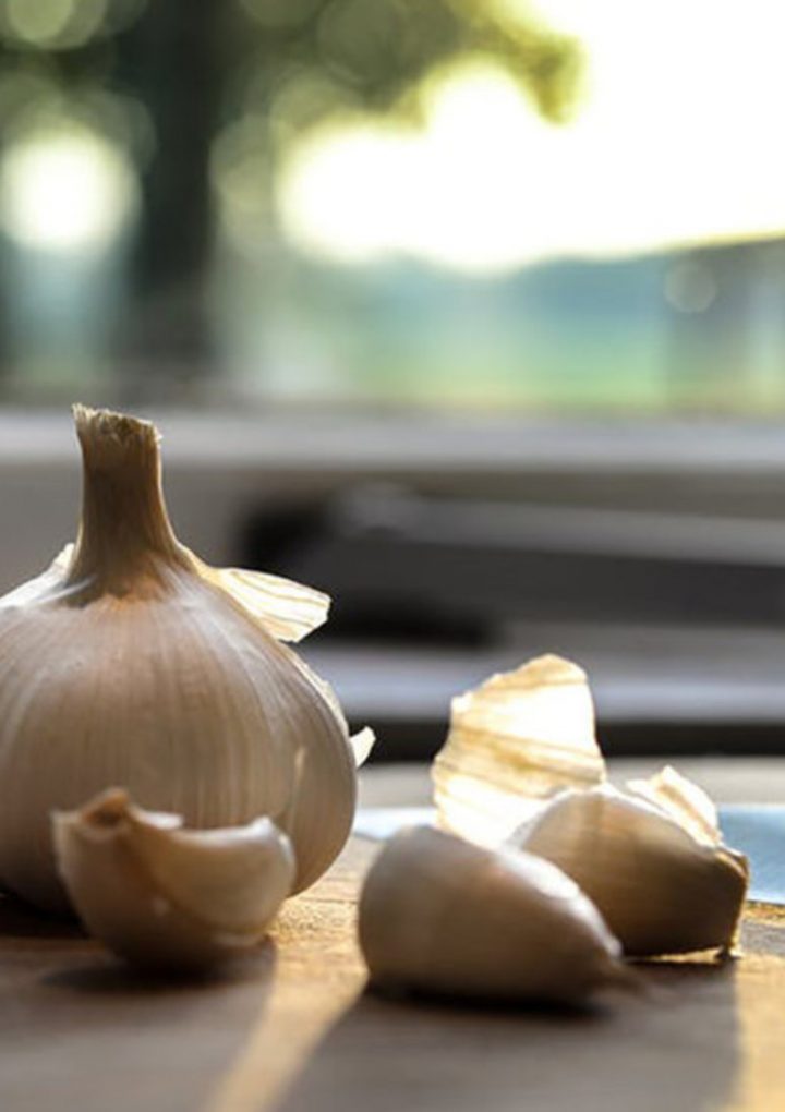 15 Impressive Herbs with Antiviral Activity – EcoWatch