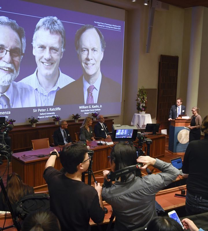 3 win Nobel Prize for Medicine for discoveries in how cells use oxygen – Baltimore Sun