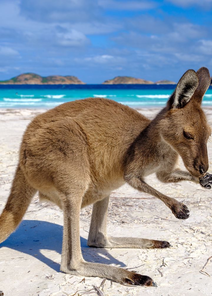 7 stunning views on the ultimate Western Australian road trip – goodhousekeeping.com