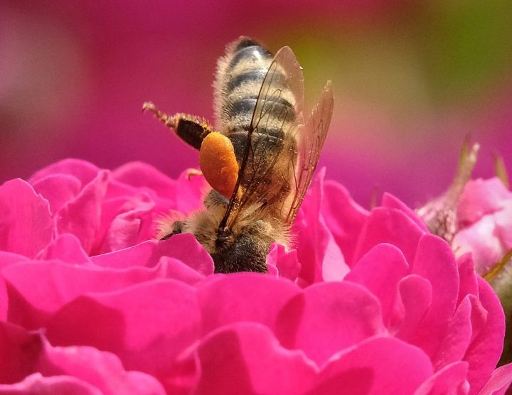A New Study Pinpoints With Incredible Specificity the Places Most at Risk on a Warming Planet – Mother Jones