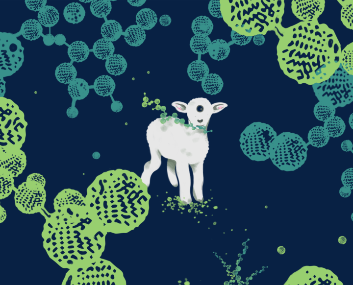 A toxic weed fuels a cancer-drug gold rush — and a quandary – STAT