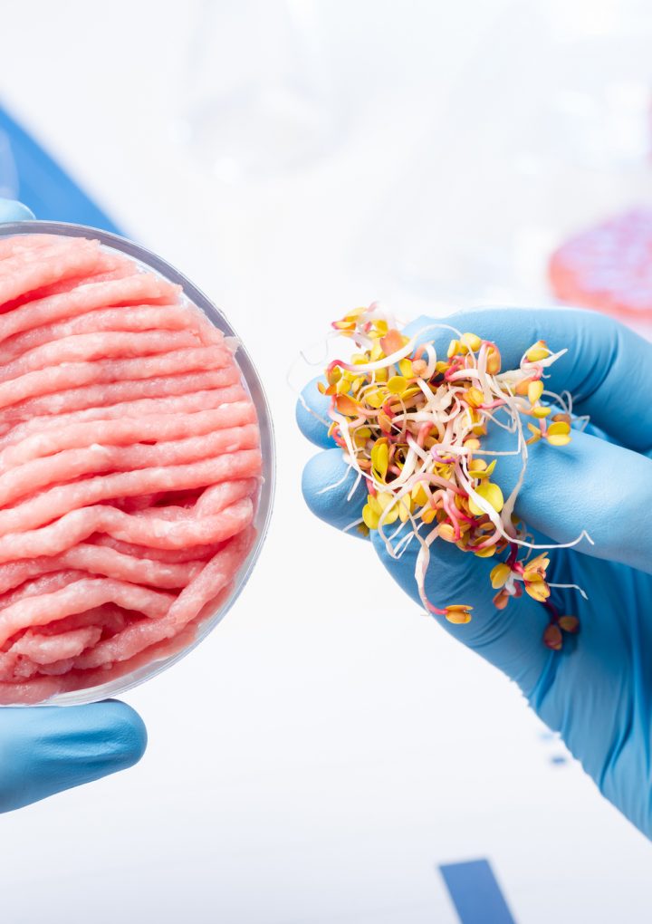 Agroecological farming, not cultured meat, is key to a sustainable future, says campaigner – FoodNavigator.com