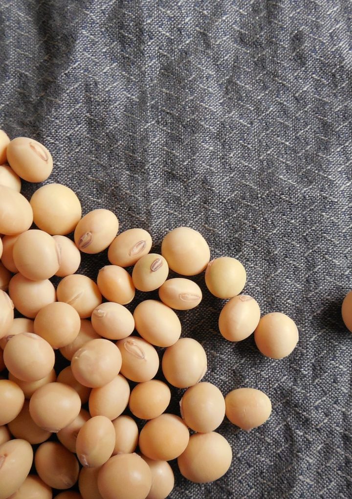 Are Plant-Based Meat Alternatives Healthy? Should We Be Eating Them? – One Green Planet