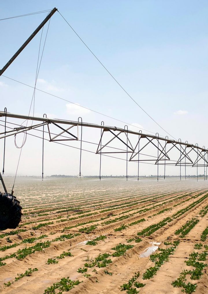 Billions face food, water shortages over next 30 years as nature fails – National Geographic