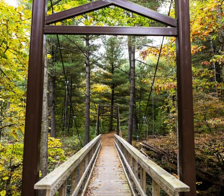 Editorial — Natural benefits: Study shows that preserving outdoor areas helps the economy – NNY360