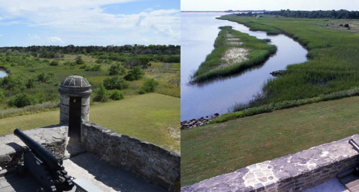 Florida mangroves reveal complex relationship between climate and natural systems – UCLA Newsroom
