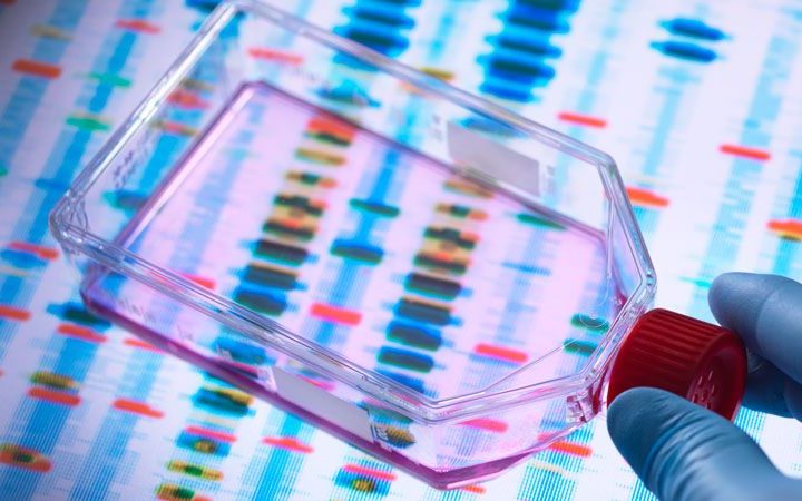 Geneticists retract study suggesting first CRISPR babies might die early – Nature.com