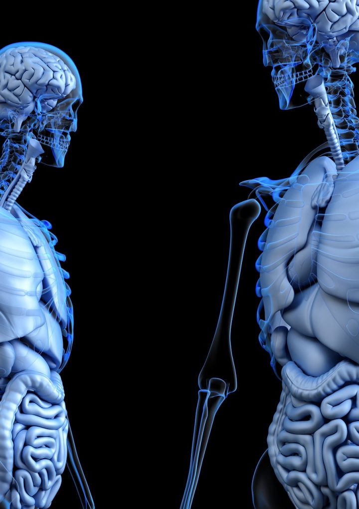 How to Care For Your Lymphatic System to Boost Physical and Mental Health – One Green Planet