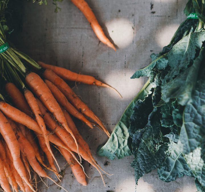More than 14% of U.S. School Districts Now Offer Plant-Based Lunch Options To Students – One Green Planet