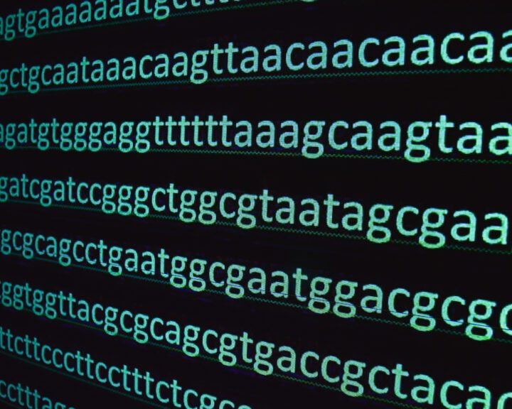 New CRISPR tool could fix almost all disease-causing DNA glitches – STAT