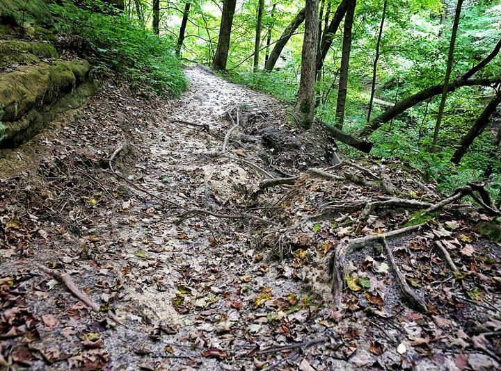 NIU studies solutions to overcrowding, damage at Starved Rock – LaSalle News Tribune