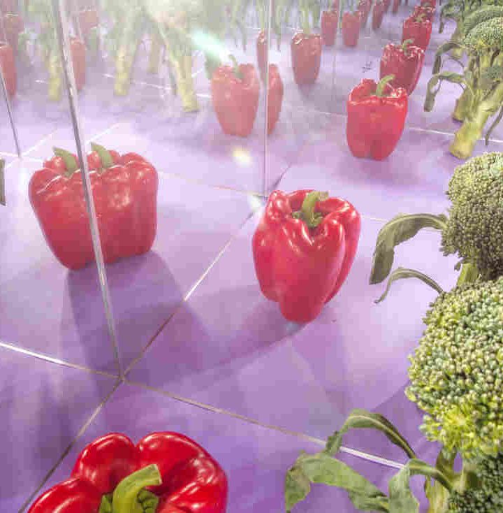 Orthorexia: When ‘Clean Eating’ Become An Unhealthy Obsession : The Salt – NPR