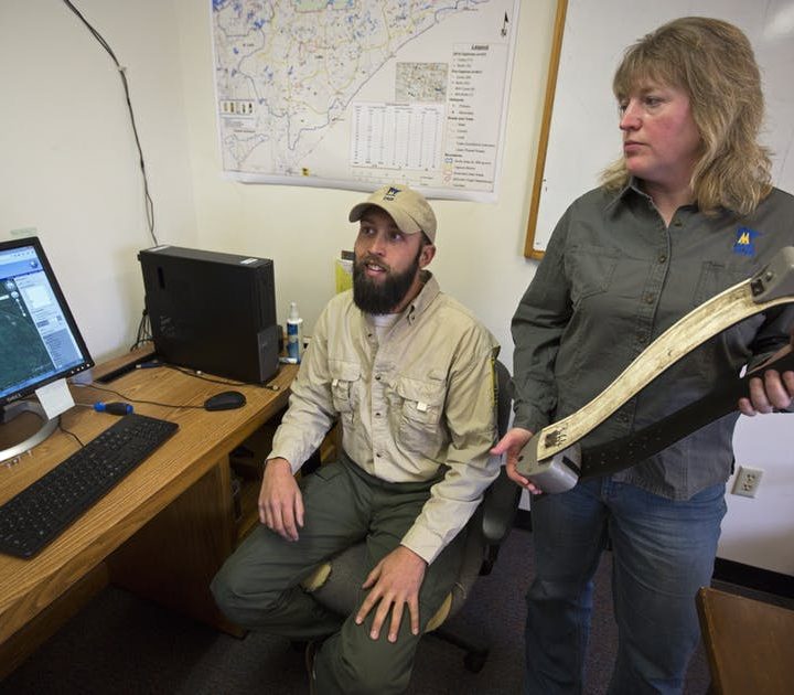 State’s wildlife health manager embraces the mystery and challenge of the work – Minneapolis Star Tribune