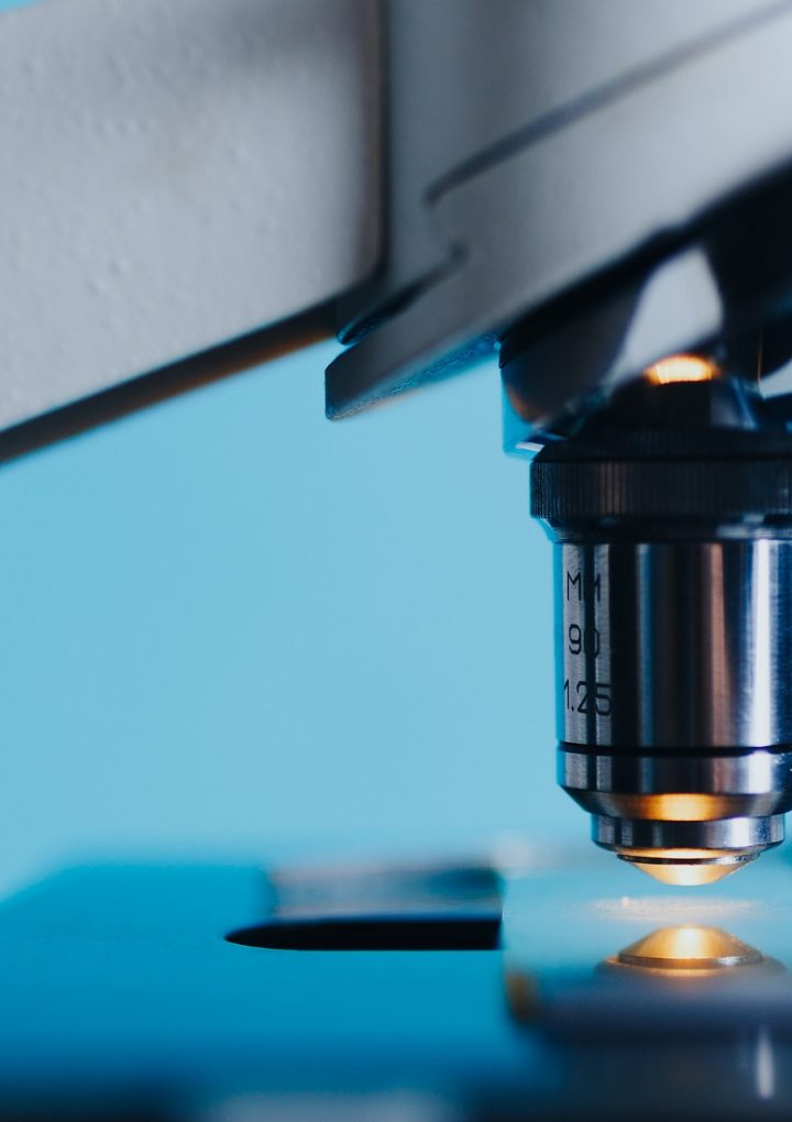 The Cancer-Fighting Properties of a Plant-Based Keto Diet – One Green Planet