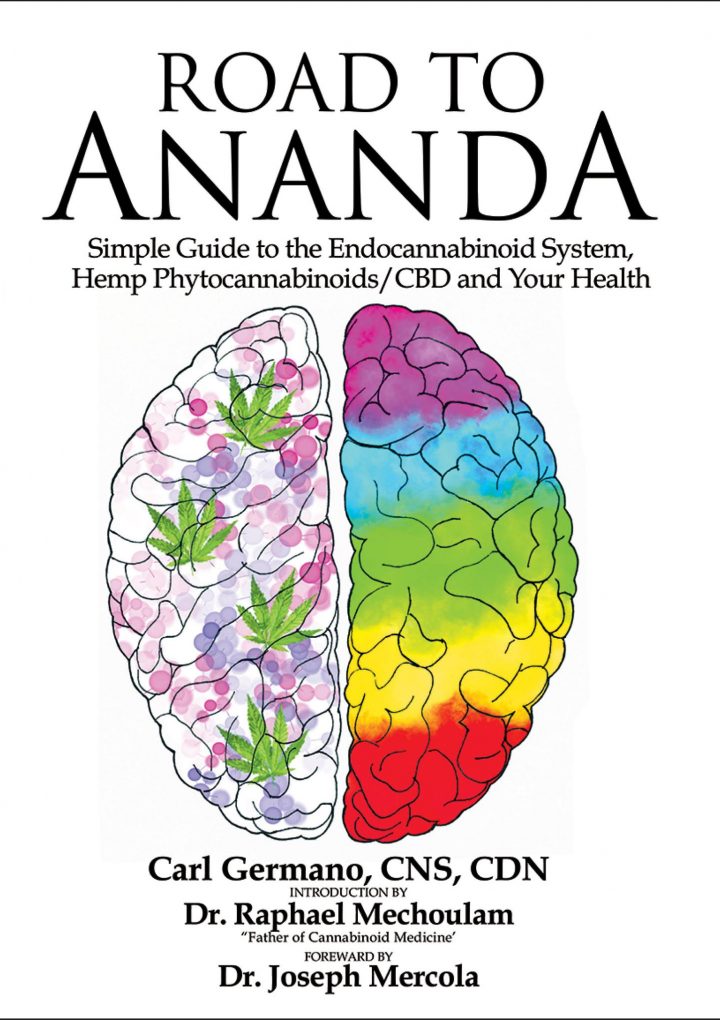 What Dr. Mercola Thinks of CBD Oil Hemp Extract Supplementation Use – HealthMJ