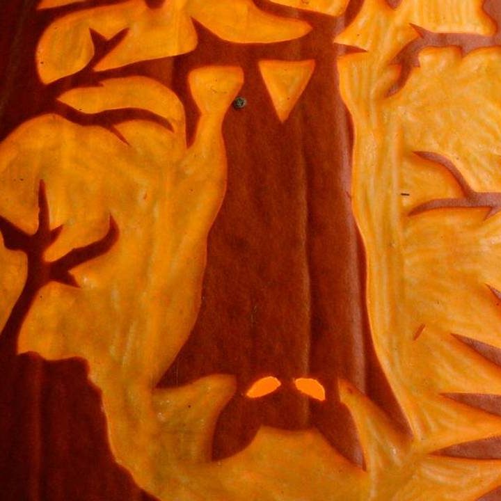 What’s Happening for Oct. 30 – The Olympian