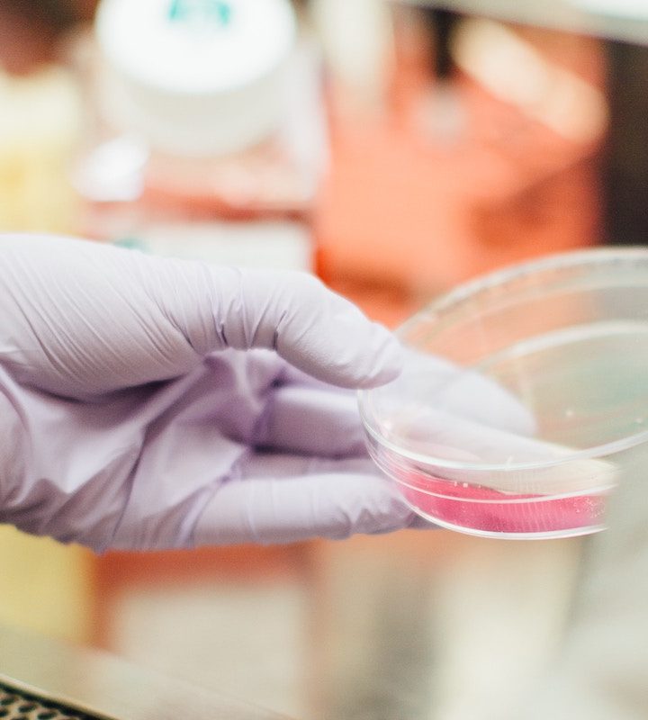 Worried About Gut Health? Try the World’s Most Advanced Gut Microbiome Test. – Futurism