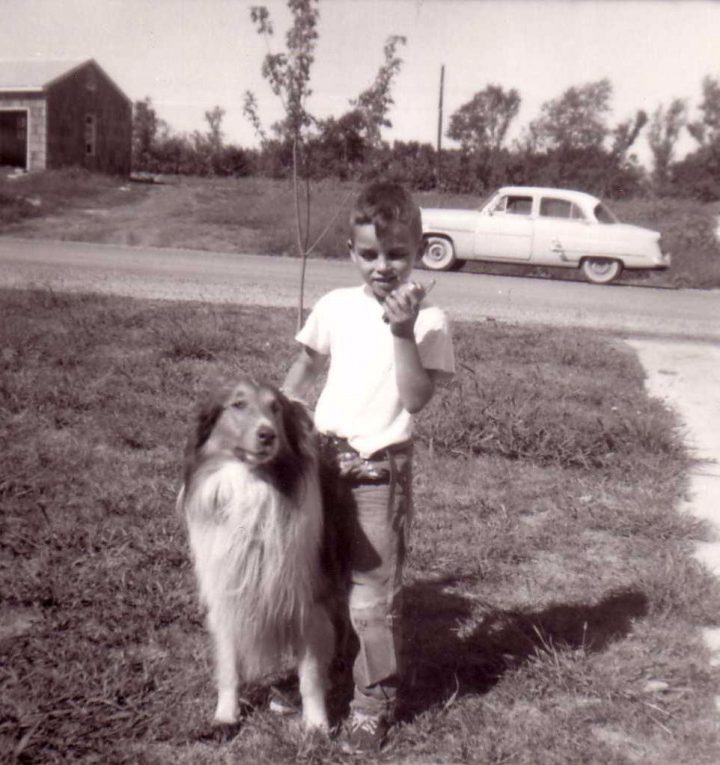 Contact: How Animals Can Save And Heal Us – Mountain Journal