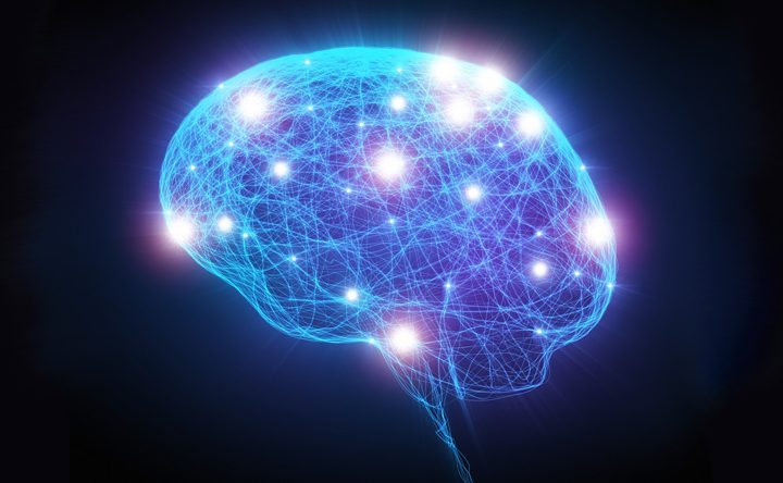 Deep neural networks uncover what brains likes to see – Baylor College of Medicine News