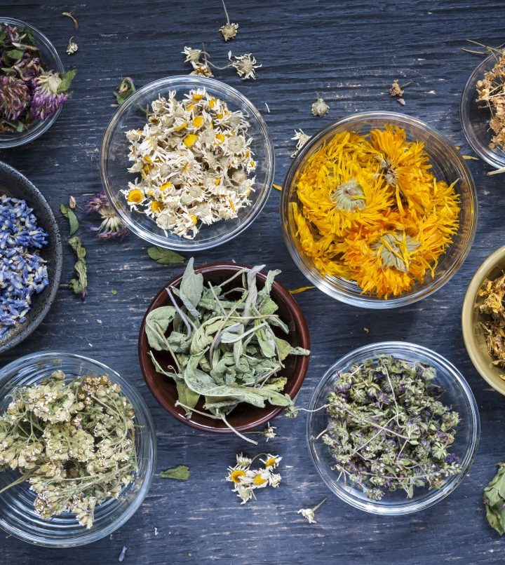 DNA testing reveals ‘widespread adulteration’ of herbal products – FoodNavigator.com