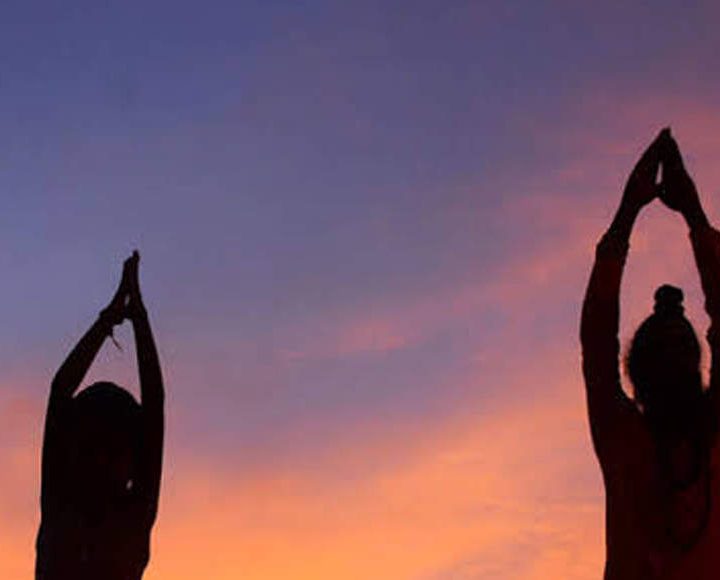 Greater Noida to host four-day Ayuryog Expo 2019 from November 7 – Times of India