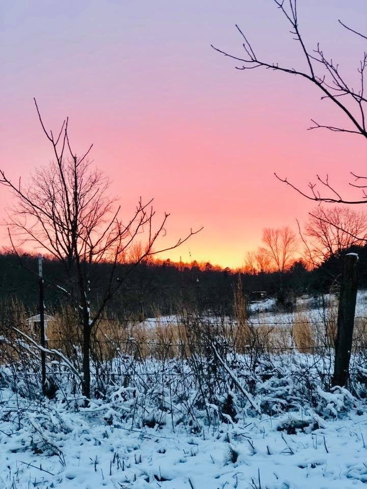 Helpful tips to combat those seasonal blues – KTVI Fox 2 St. Louis